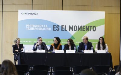 La aportación de los perfiles técnicos en la transición energética